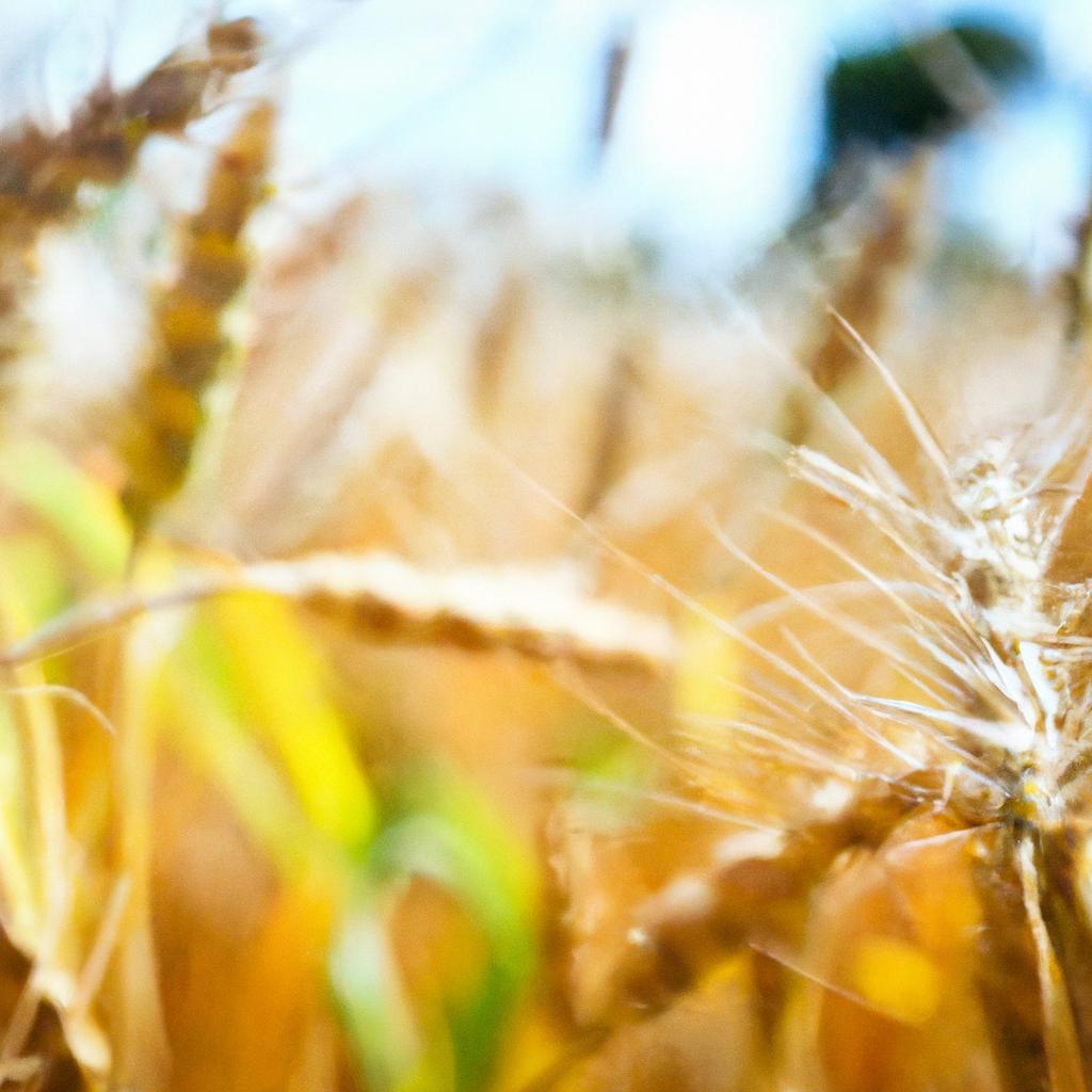 Principais características das culturas mais lucrativas para o agronegócio